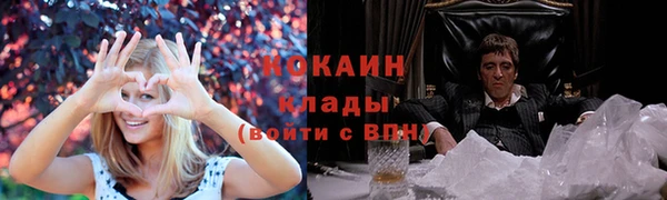 прущий лед Богданович
