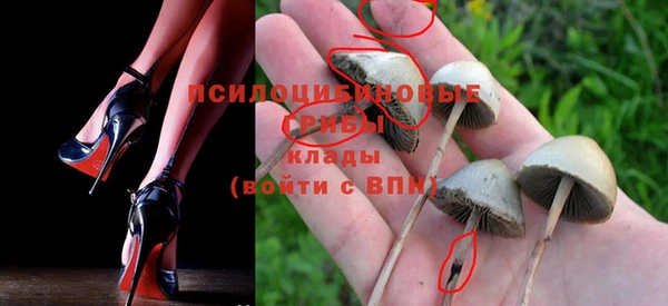 прущие крисы Богородицк