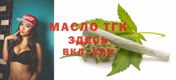 прущий лед Богданович
