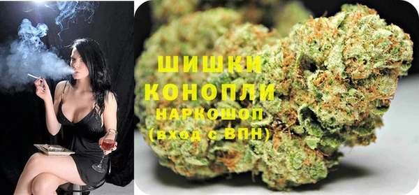 ПСИЛОЦИБИНОВЫЕ ГРИБЫ Бородино