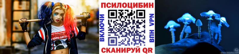 Псилоцибиновые грибы MAGIC MUSHROOMS  Красный Кут 